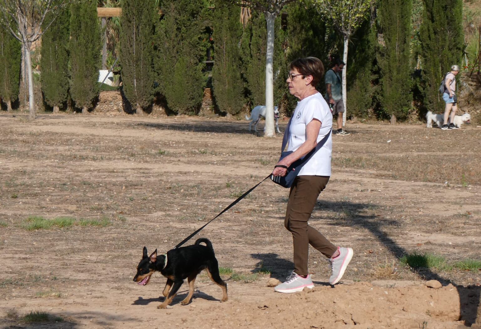 Somos educadores caninos con método propio y enfoque 100% respetuoso: sin castigos, sin gritos y sin collares de descarga.